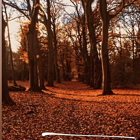 Rahat Bahçeli Polonezköyde Butik Evimiz Daire *