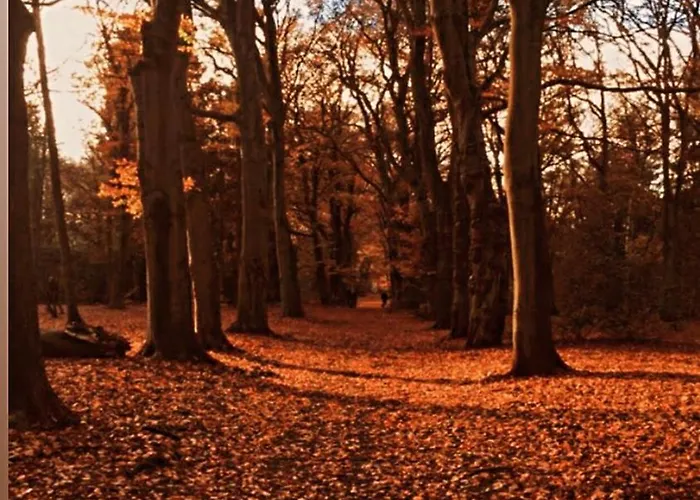 Rahat Bahceli Polonezkoeyde Butik Evimiz Lägenhet *