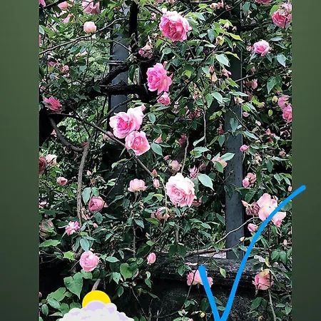 Rahat Bahceli Polonezkoeyde Butik Evimiz Apartment