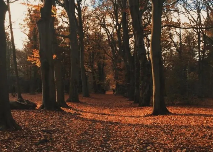 Rahat Bahceli Polonezkoeyde Butik Evimiz Apartment Istanbul