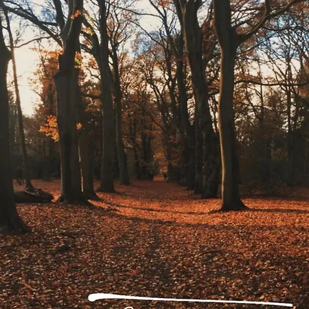 Rahat Bahceli Polonezkoeyde Butik Evimiz شقة اسطنبول