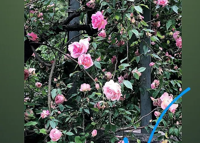 Rahat Bahceli Polonezkoeyde Butik Evimiz דירה